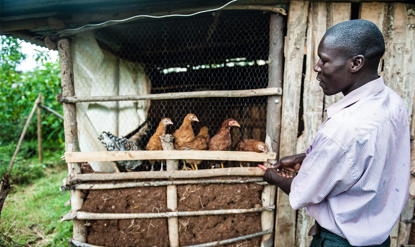 A man tends to his local chicken farm. GiveDirectly funds can help pay for supplies, equipment, and repairs on this farm.