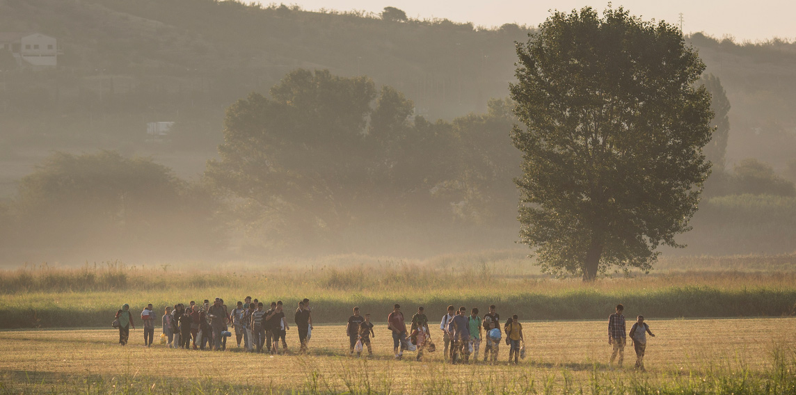 Image for Supporting the refugee and migrant crisis