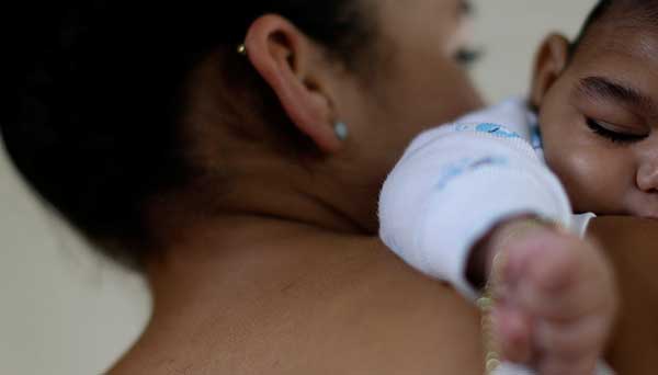 Image for Fighting the Zika Virus